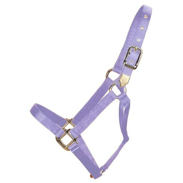 Hamilton 3/4 Nylon Quality Horse Halter Hamilton 3/4 Nylon Quality Horse Halter